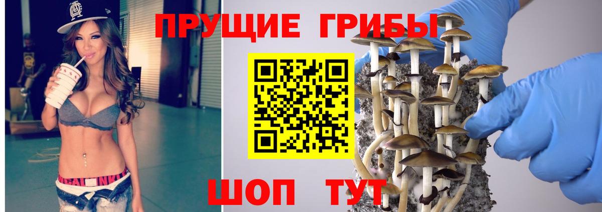 Псилоцибиновые грибы Psilocybe Лабытнанги